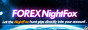 Forex Nightfox