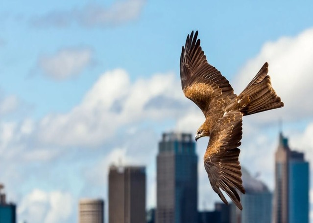 Central banks maintain hawkish rhetoric