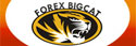 Forex Bigcat